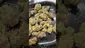 Video Thumbnail: Smokie McGreen