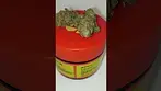 Superseed Gelatti Pie #UKMedicalCannabis #MedicalCannabisUK #PatientExperience #CannabisEducation