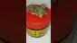 Video Thumbnail: HighStandards420