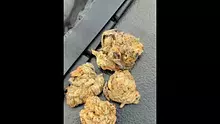 Cannabaz Video Thumbnail