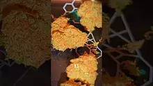 MedCannaBliss Video Thumbnail