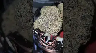 Green Runtz By 4c Labs