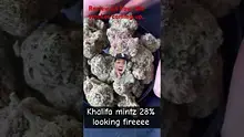 CannaTEE Video Thumbnail