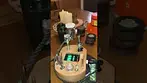 Superseed Cake City T28 UK medical Cannabis