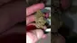 Video Thumbnail: WestPacks420