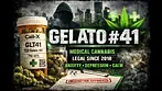UK MEDICAL FLOWER | GELATO #41|CALI X #420community #ukmedicalcannabis #420 #GELATO#41 #cbpm