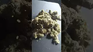 Glitter Bomb BY Big Narstie Medical UK Legal THC Canna