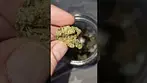 Sunset Sherbet By Upstate