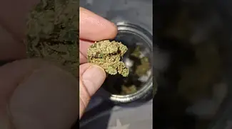 Sunset Sherbet By Upstate