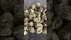 Phant d1 minis 23% thc mellow berry taste and smell