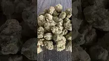 strange life420 Video Thumbnail