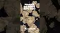 Video Thumbnail: Medicated Mate