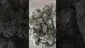 Video Thumbnail: Medical UK Cannabis