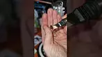 ALASKAN THUNDER | Sundial, 4C Labs & Xeal Pharma | DAB TEST