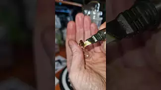 ALASKAN THUNDER | Sundial, 4C Labs & Xeal Pharma | DAB TEST