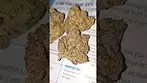 Cookies Hawaiian Rain (31% THC UK Medical Weed)