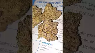 Cookies Hawaiian Rain (31% THC UK Medical Weed)