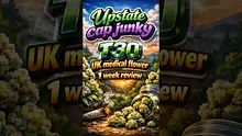 VIP THC Video Thumbnail