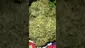 Video Thumbnail: VIP THC