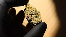 Video Reviews from UK Patients Video Thumbnail
