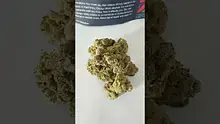 Medical UK Cannabis Video Thumbnail