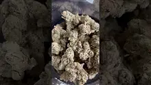 High Jack Video Thumbnail