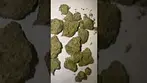 #UKMedical #zkittlez. Fuel  #Auxly#26%thc