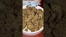 420Medical Video Thumbnail