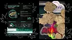 UK MEDICAL FLOWER | SITKA LEGENDS | DBC | T27 | DOUBLE - BAKED CAKE