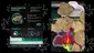 Video Thumbnail: Cannabis Culture 