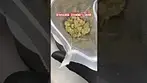 Greyscales: Strawberry cough pack opening & weigh