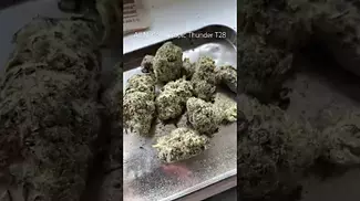All Nations Tropic Thunder T28 Review #ukmedicalcannabis #medicalcannabis