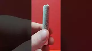 Roll test - Gelonade