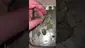 Video Thumbnail: LoudConnoisseur