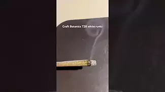 Craft Botanics T28 white runtz burn