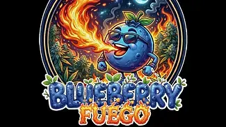 Blueberry Fuego (Next Friday T24) UK Medical Cannabis Review 27