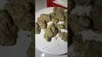 All Nations PNE T27 Pineapple Express