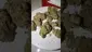 Video Thumbnail: Medi Blaze