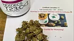NOIDECS T23 GREEN GELATO