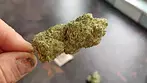 All Nations Tropic Thunder uk medical