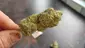 Video Thumbnail: CannaChris