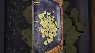UK Legal Medical – Mamedica - Goofiez ClearLeaf #ukcannabis #strainreviews #cannabiseducation #uk