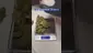 Video Thumbnail: Review Budd
