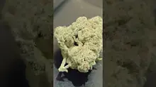 ERB B4S Video Thumbnail