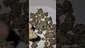 Video Thumbnail: 2cavjav