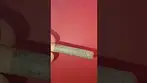 Roll Test - Gelatti Pie (Superseed)