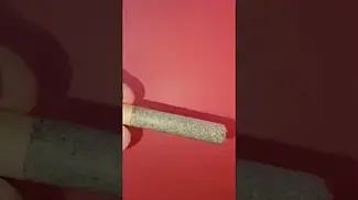 Roll Test - Gelatti Pie (Superseed)