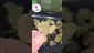 Video Thumbnail: TheMedCannHub