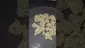 Video Thumbnail: Eazypax420