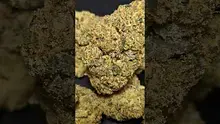 PrescribedBouquet Video Thumbnail